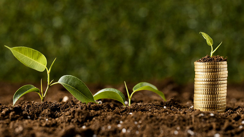 Pubblicato il bando SRD13 a sostegno degli investimenti per la trasformazione e commercializzazione dei prodotti agricoli