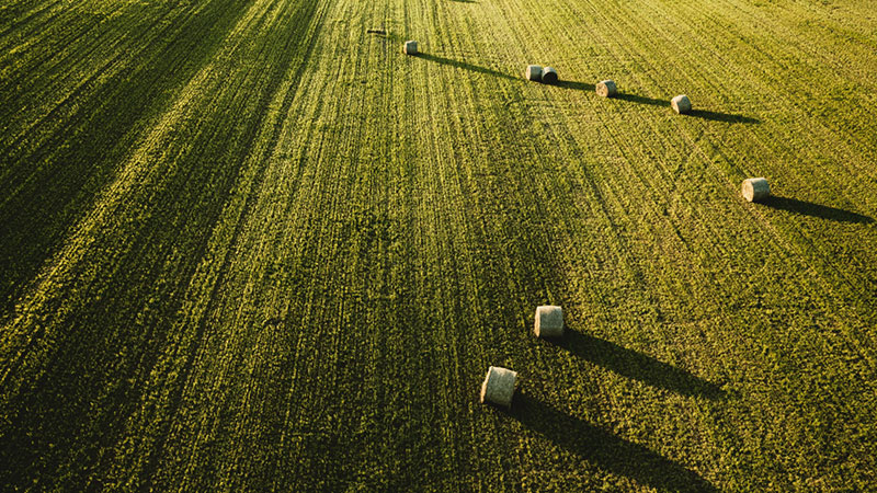 Presentazione dei nuovi bandi per le aziende agricole - Incontro informativo il 6 giugno 2025