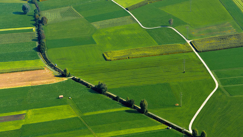 Avviso manifestazione di interesse per realizzazione di pratiche che supportano servizi ecosistemici